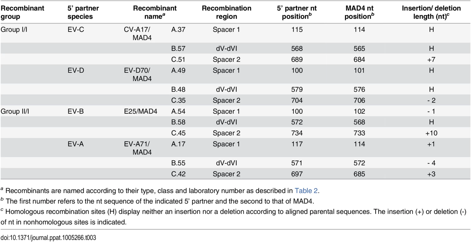 Location of recombination site in selected recombinants.