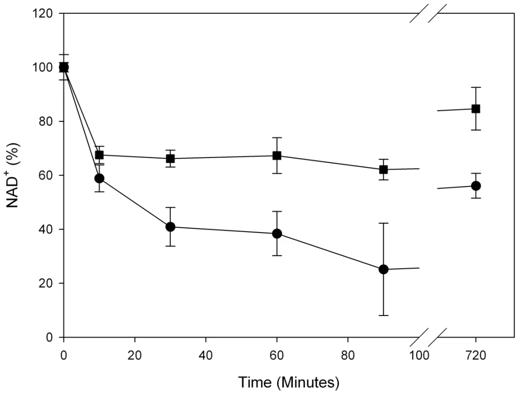 Rapid NAD<sup>+</sup> depletion in NBS patient fibroblasts after DNA damage.