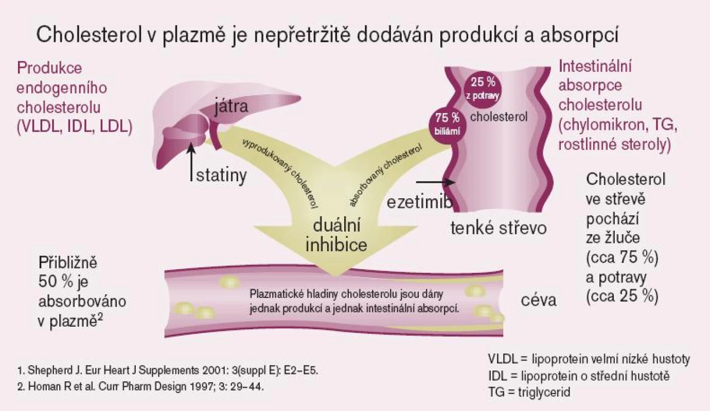 Mechanizmus účinku ezetimibu.