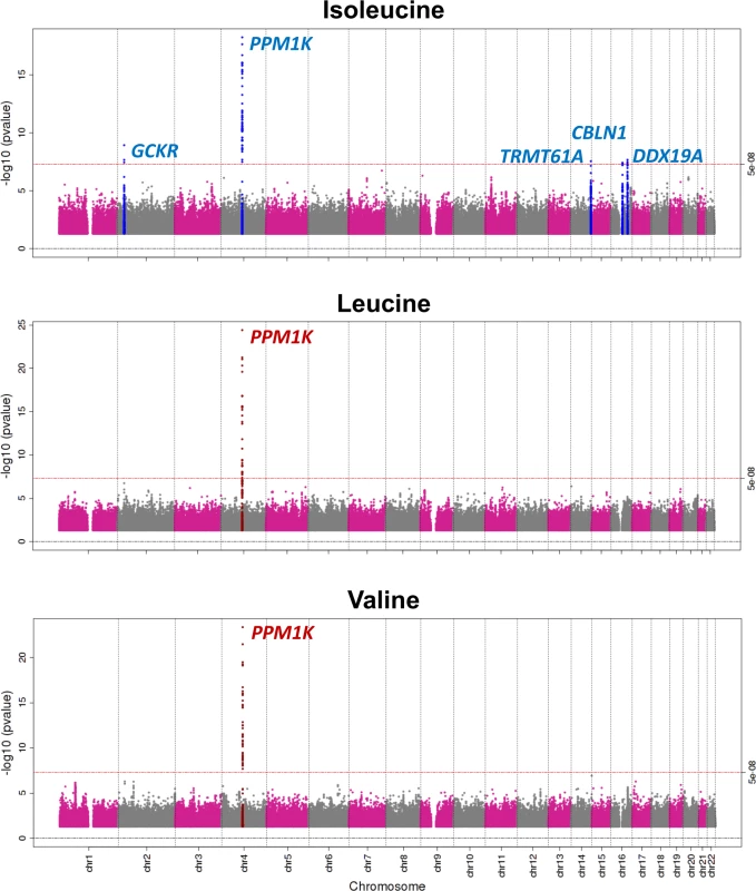 Manhattan plot of the association of genetic variants with the levels of branched-chain amino acids.