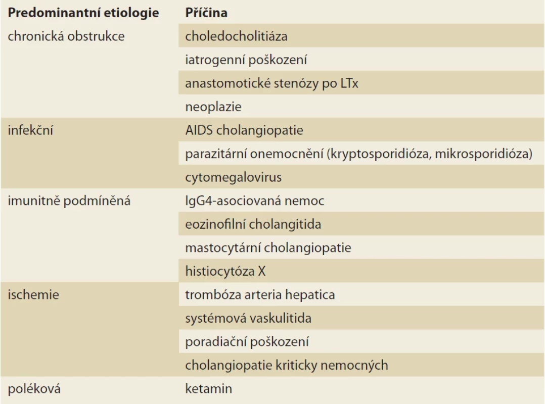 Klasifikace sekundární sklerotizující cholangitidy dle etiologie. </br>Tab. 2. Classification of secondary sclerosing cholangitis according to etiology.