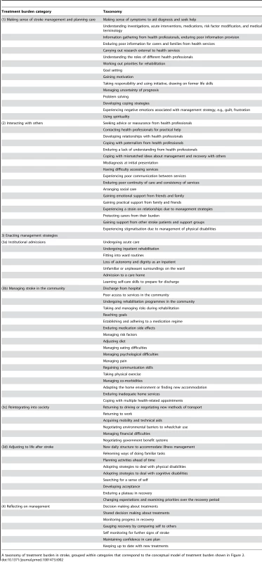 Treatment burden identified from the literature.