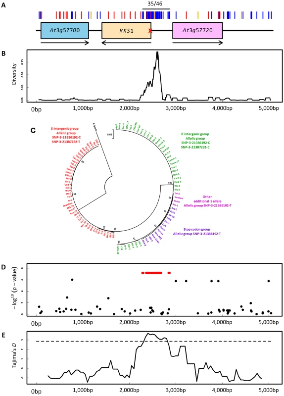 Molecular evolutionary genetics.