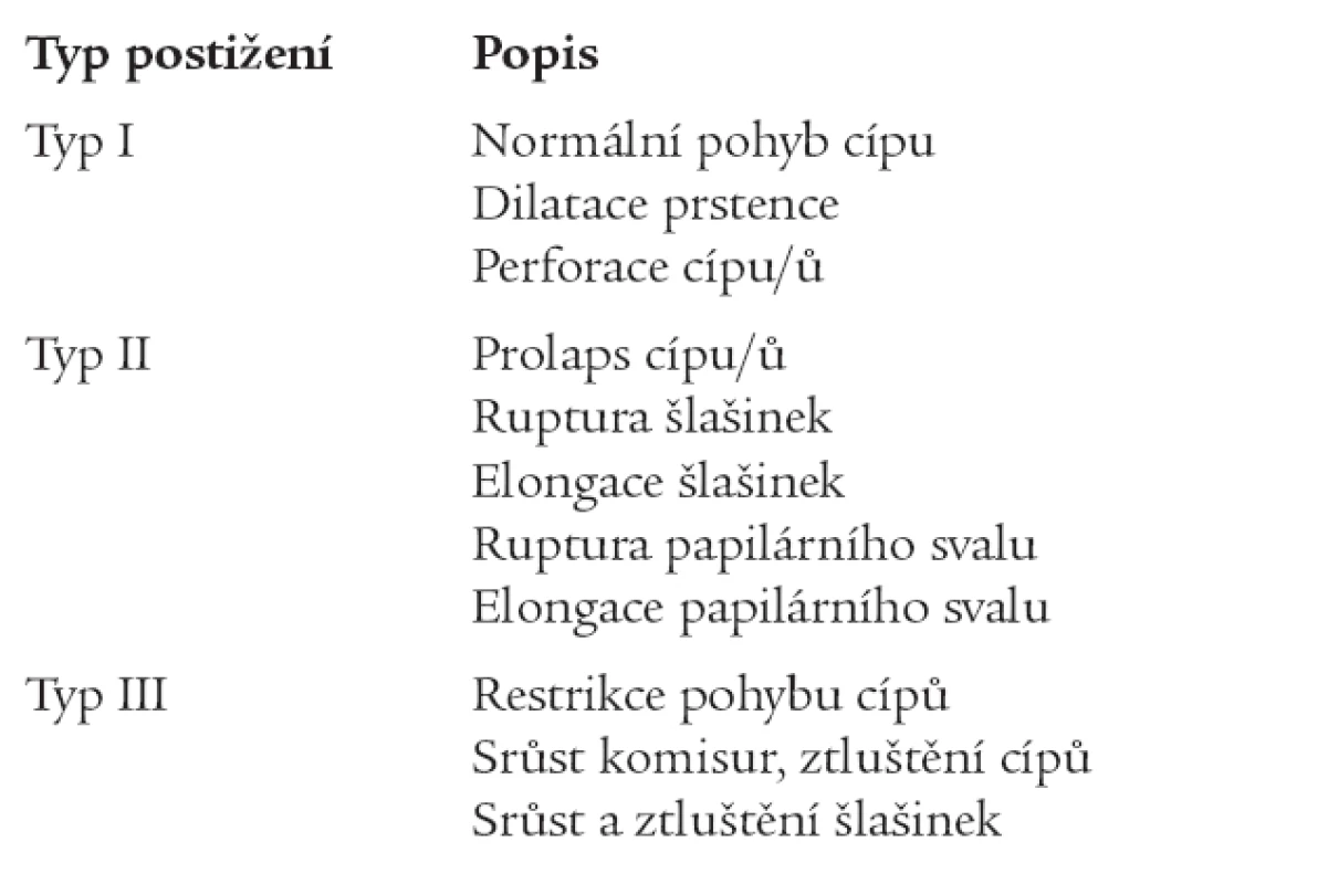 Funkční dělení mitrální regurgitace.