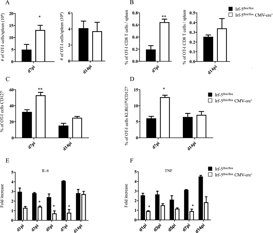 IRF-5-mediated inflammation limits CD8<sup>+</sup> T cell expansion during acute <i>L</i>. <i>donovani</i> infection.