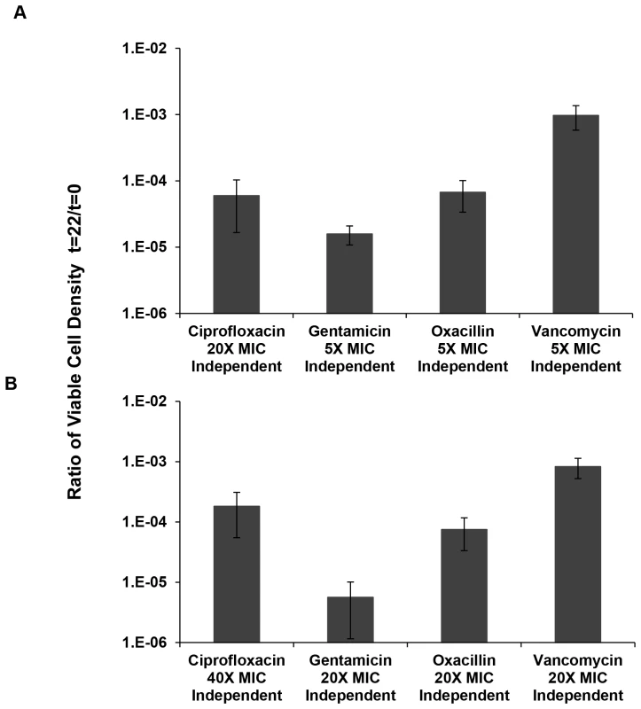 Relative survival after 22 hours of exposure to antibiotics.