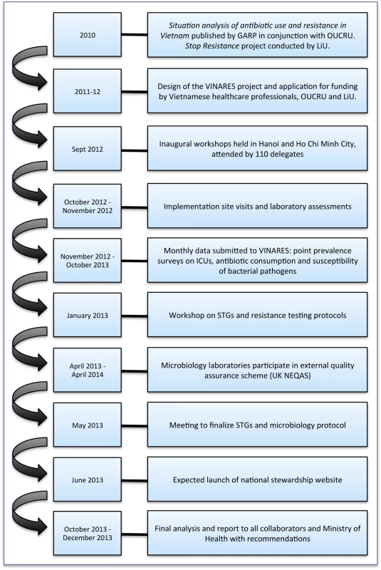 A timeline to illustrate the conception and implementation of the VINARES project.