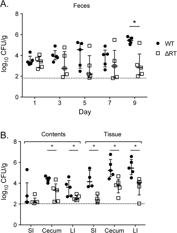 Enteropathogenic <i>E</i>. <i>coli</i> is dependent on the retron reverse transcriptase to persist within the murine intestine.