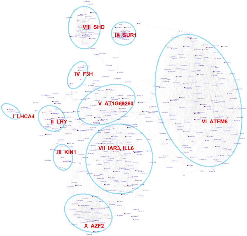 A sub-network for the G-box motif based on motif enrichment analysis.