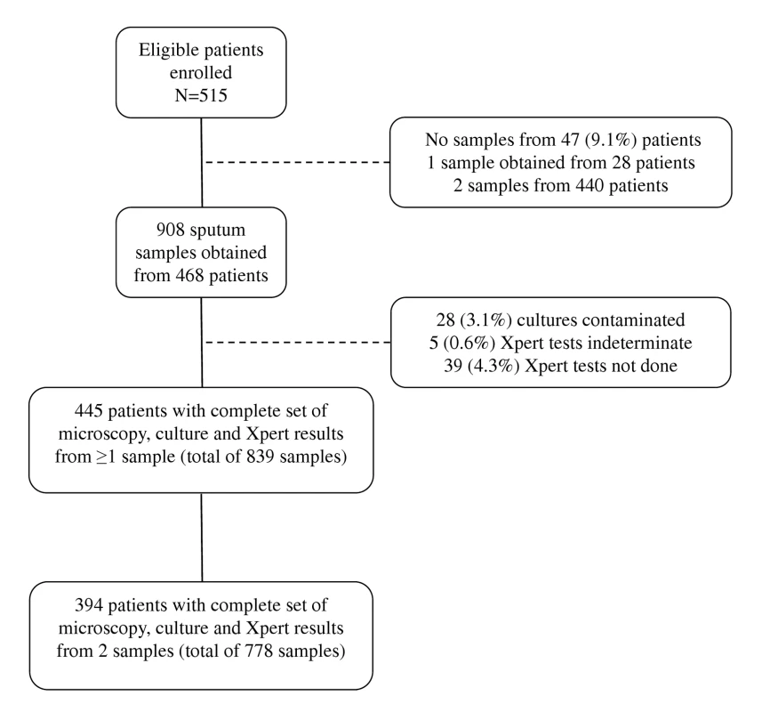 Flow diagram showing the numbers of patients enrolled, losses, numbers of sputum samples analysed, and numbers of results obtained.