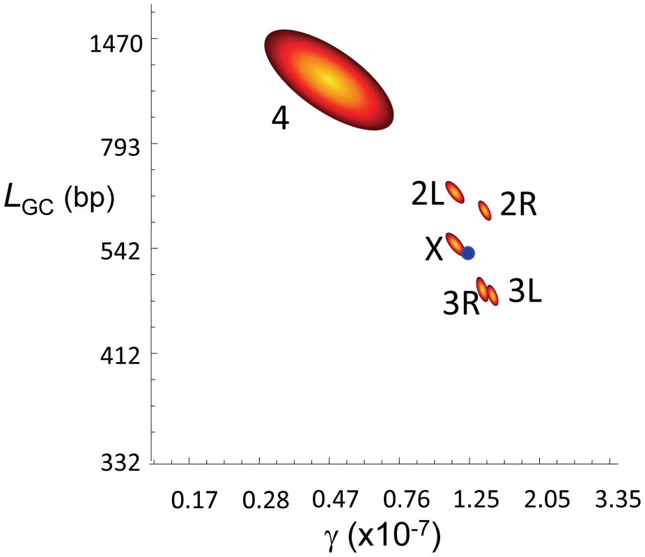 Gene conversion estimates in <i>D. melanogaster</i>.