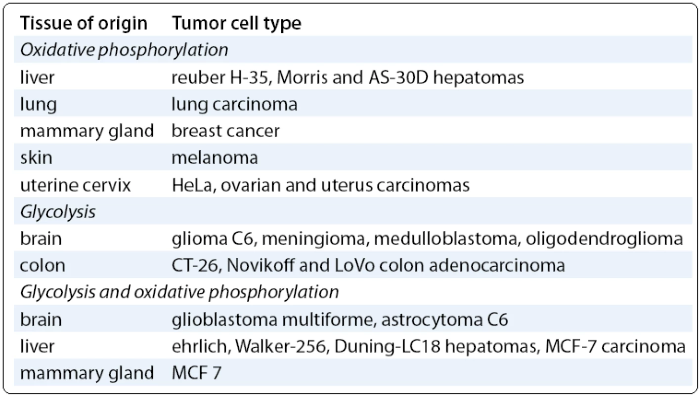 Oxidative phosphorylation/Glycolysis – dependent energy metabolism in different tumor cell types (modified from [14]).