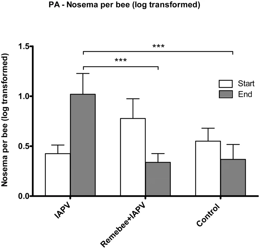 <i>Nosema</i> spore counts per bee.