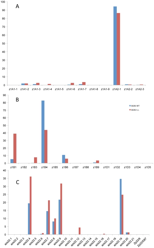 Tissue culture induces epigenetic resetting of the α-zeins genes expression in A636 inbred.