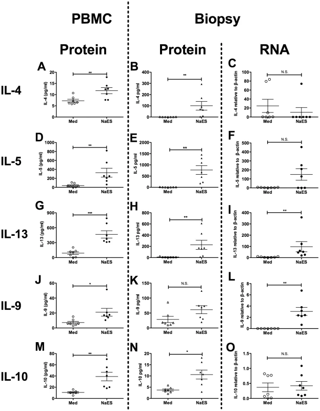 Systemic and mucosal hookworm specific immune responses.