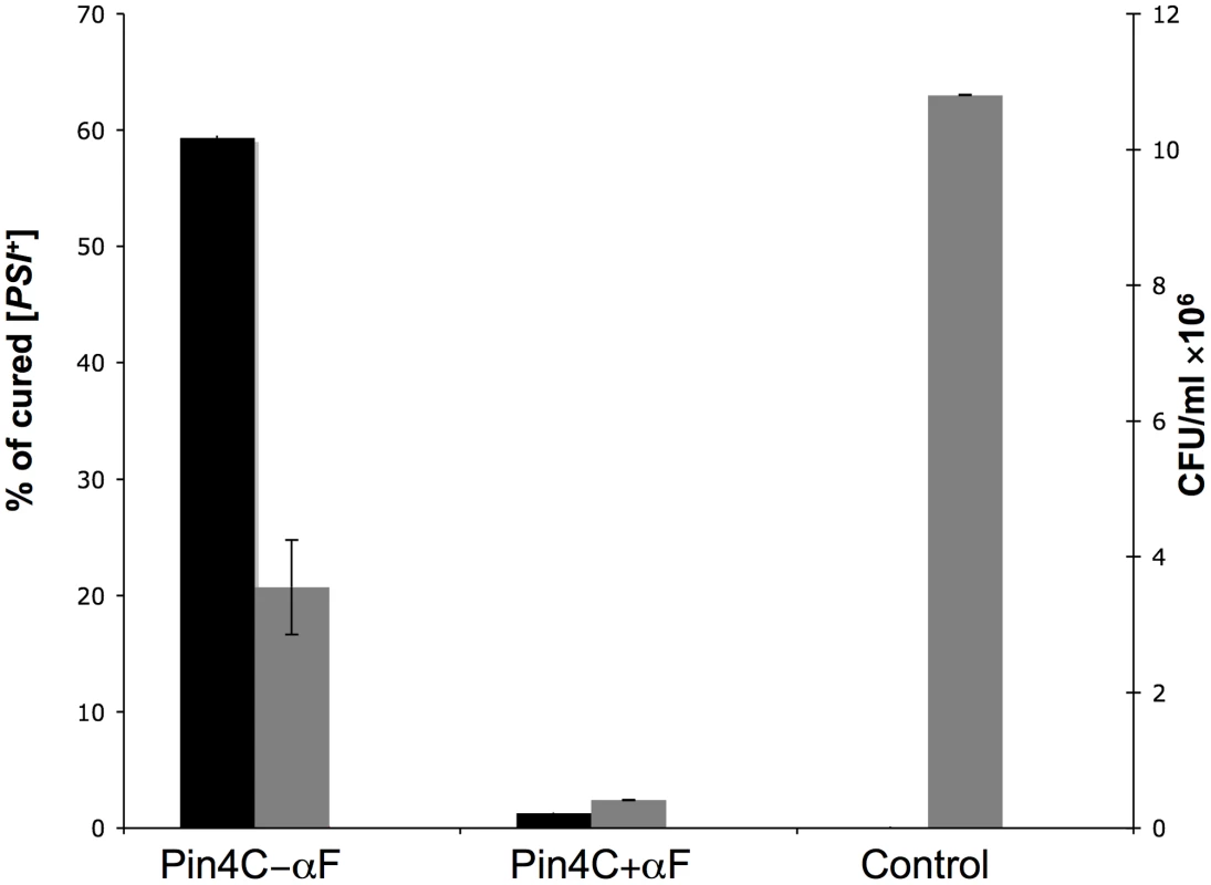 Curing of [<i>PSI</i><sup>+</sup>] by Pin4C depends on cell division.