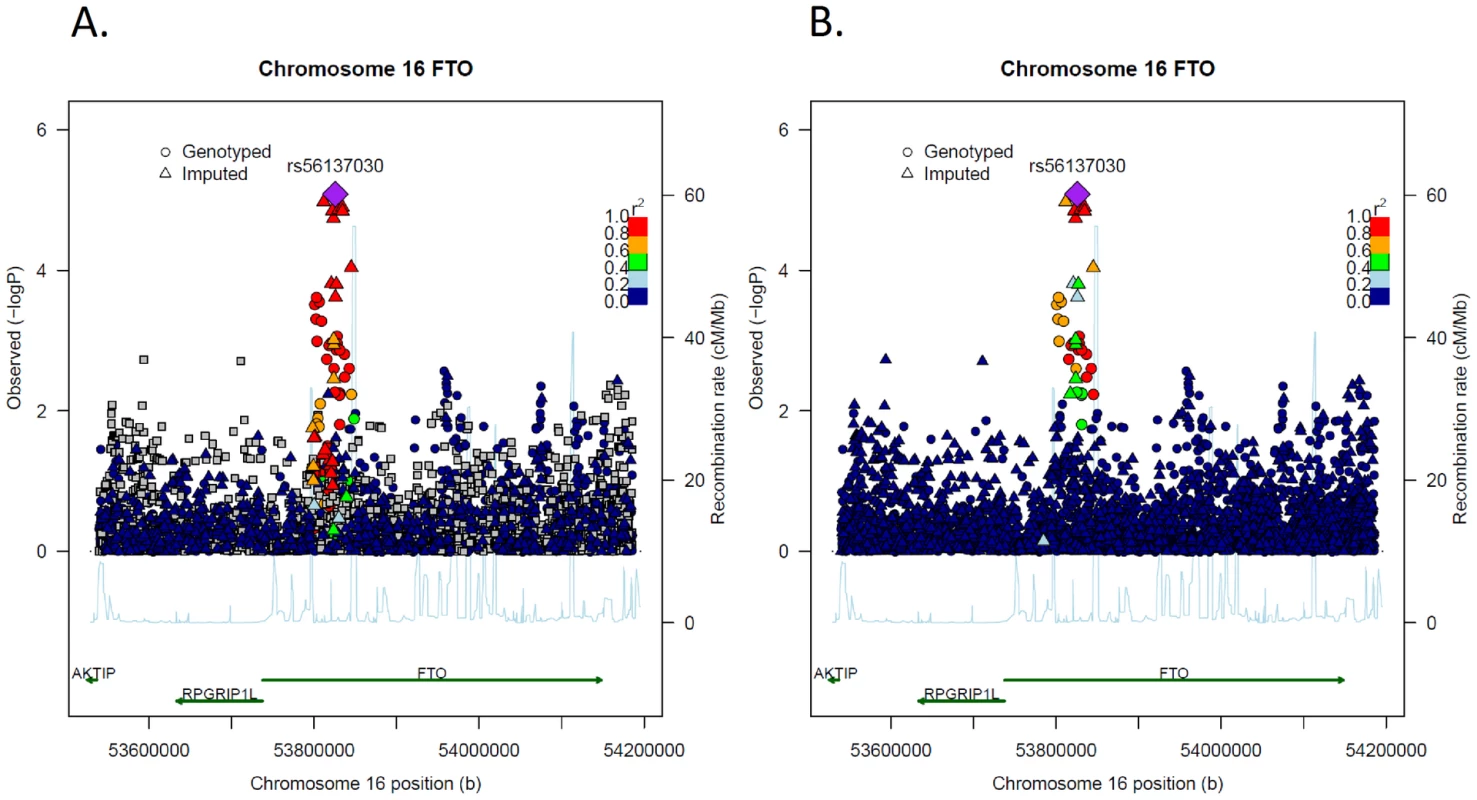 Association results (p-values) and correlation structure for all SNPs in the 16q12.2/<i>FTO</i> region and lnBMI among African Americans using rs56137030 to calculate correlation among SNPs (LocusZoom plots).