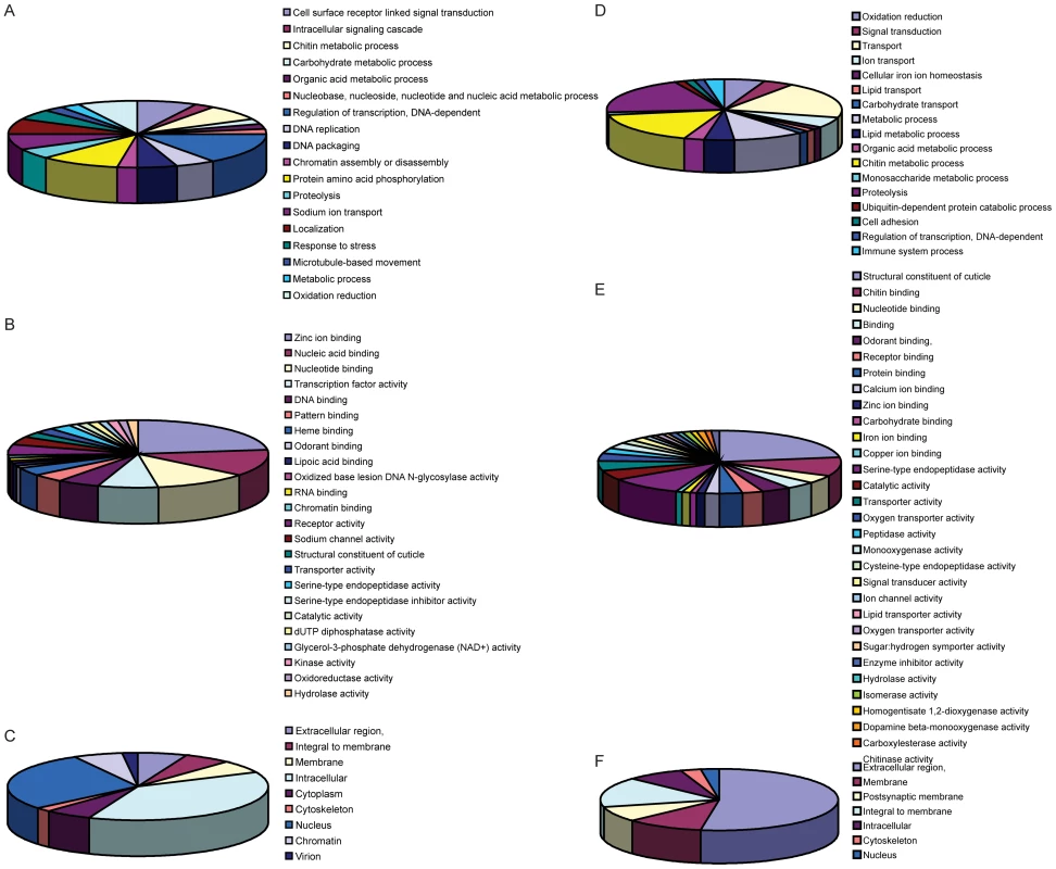 Functional annotations of DEGs.