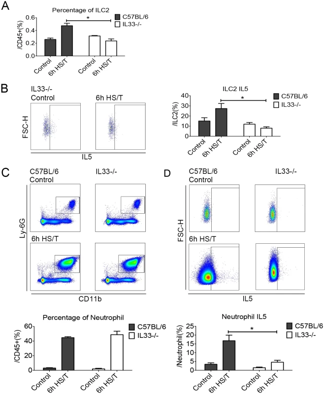 Effects of interleukin (IL) 33 deletion on group 2 innate lymphoid cells (ILC2) and neutrophil responses in lungs after resuscitated hemorrhagic shock and tissue trauma (HS/T).