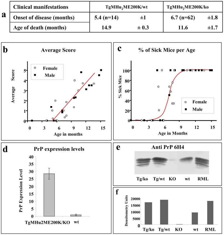 Disease progression in spontaneous disease.
