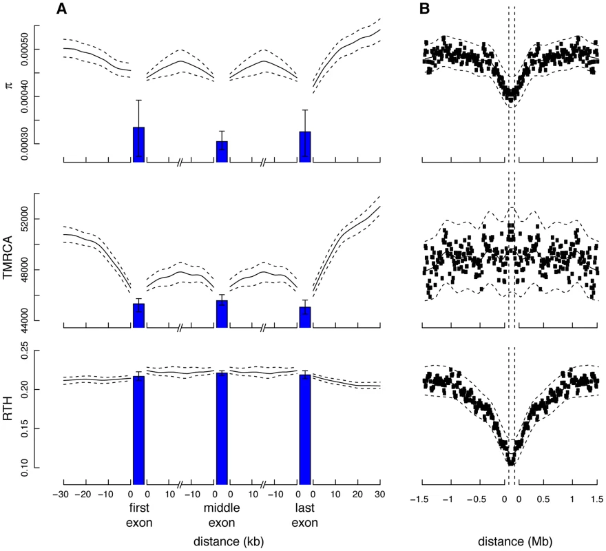 Measures of genetic variation near protein-coding genes and partial selective sweeps.