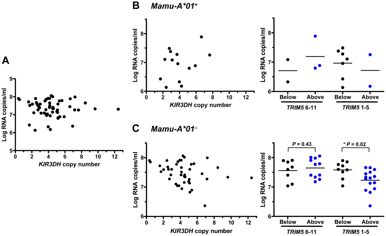 Association of <i>KIR3DH</i> copy numbers and peak plasma SIV RNA levels in Indian-origin rhesus monkeys.