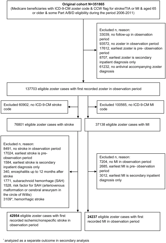 Identification of study participants.