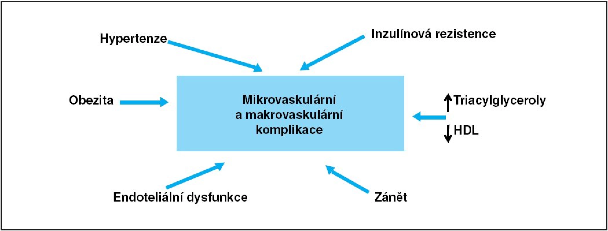 Schéma hlavních faktorů podílejících se na vzniku komplikací diabetu