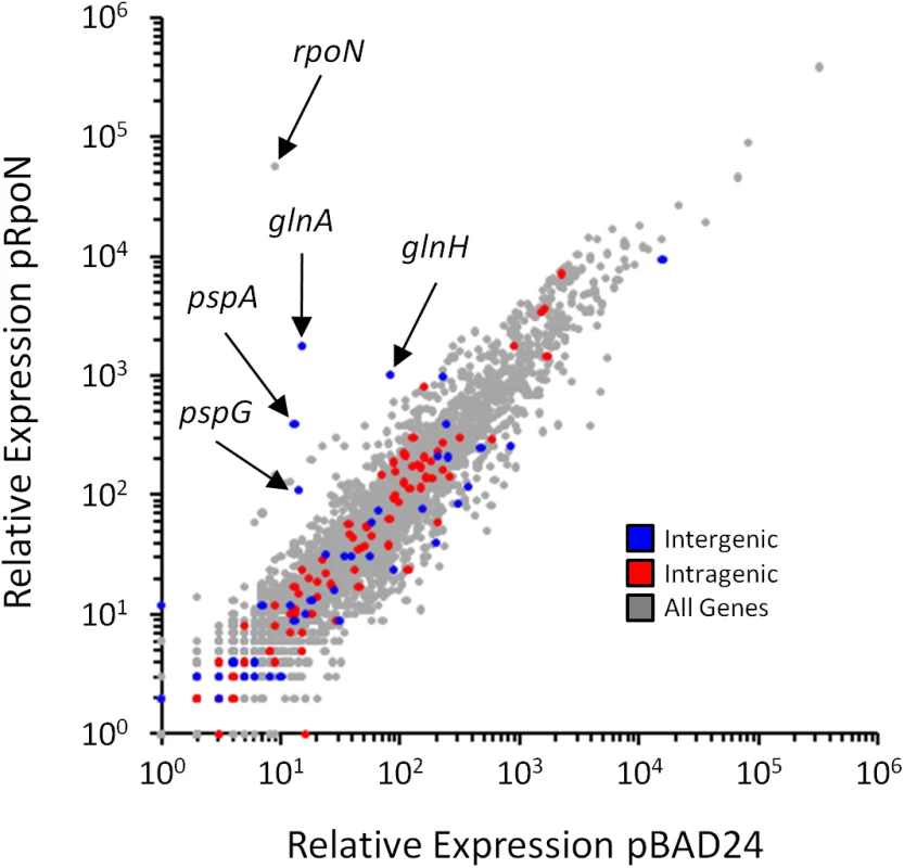 Genome-wide σ<sup>54</sup>-dependent changes in gene expression.