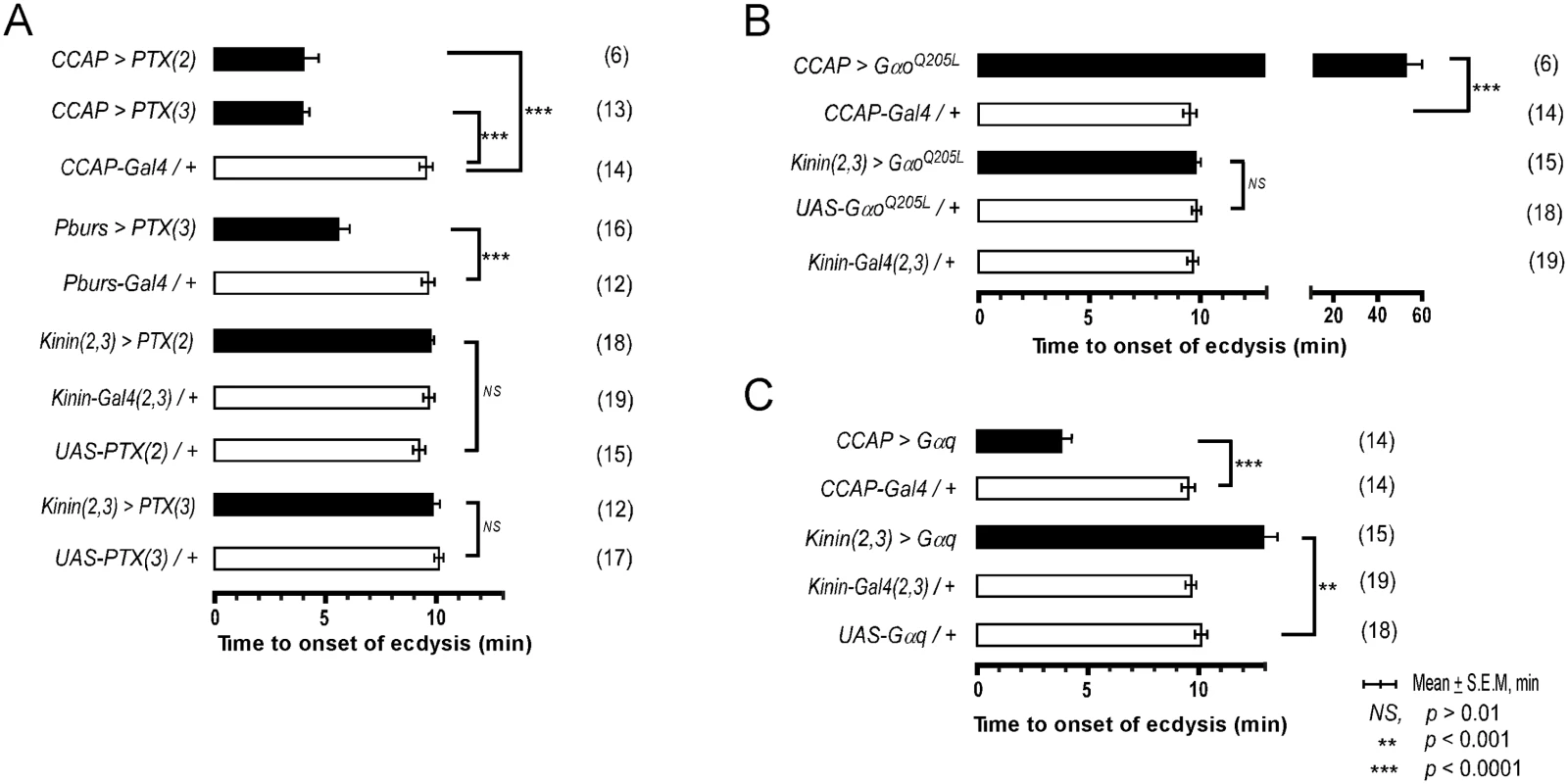 Role of G-Protein-mediated signal transduction in timing of the switch to ecdysis behavior.