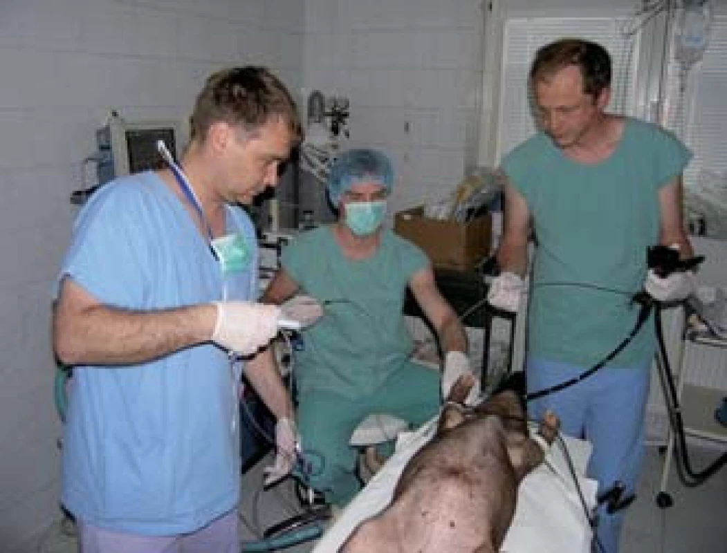 NOTES experiment na praseti.
Fig. 4. NOTES experiment on a pig.