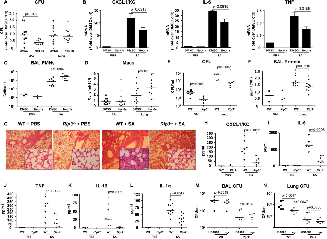 Blockade of necroptosis improves bacterial clearance.