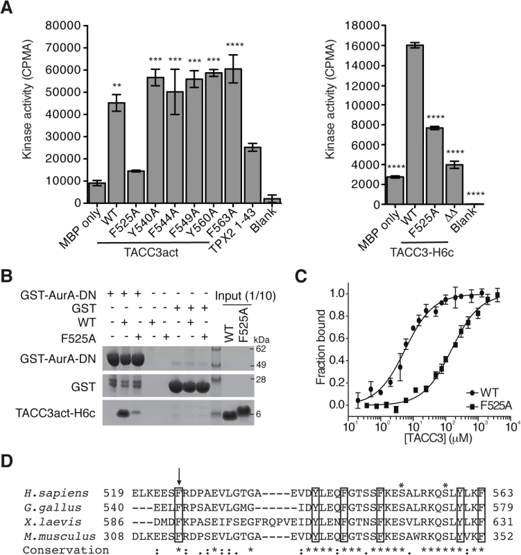 Mapping of key determinants for TACC3 binding to Aurora-A.