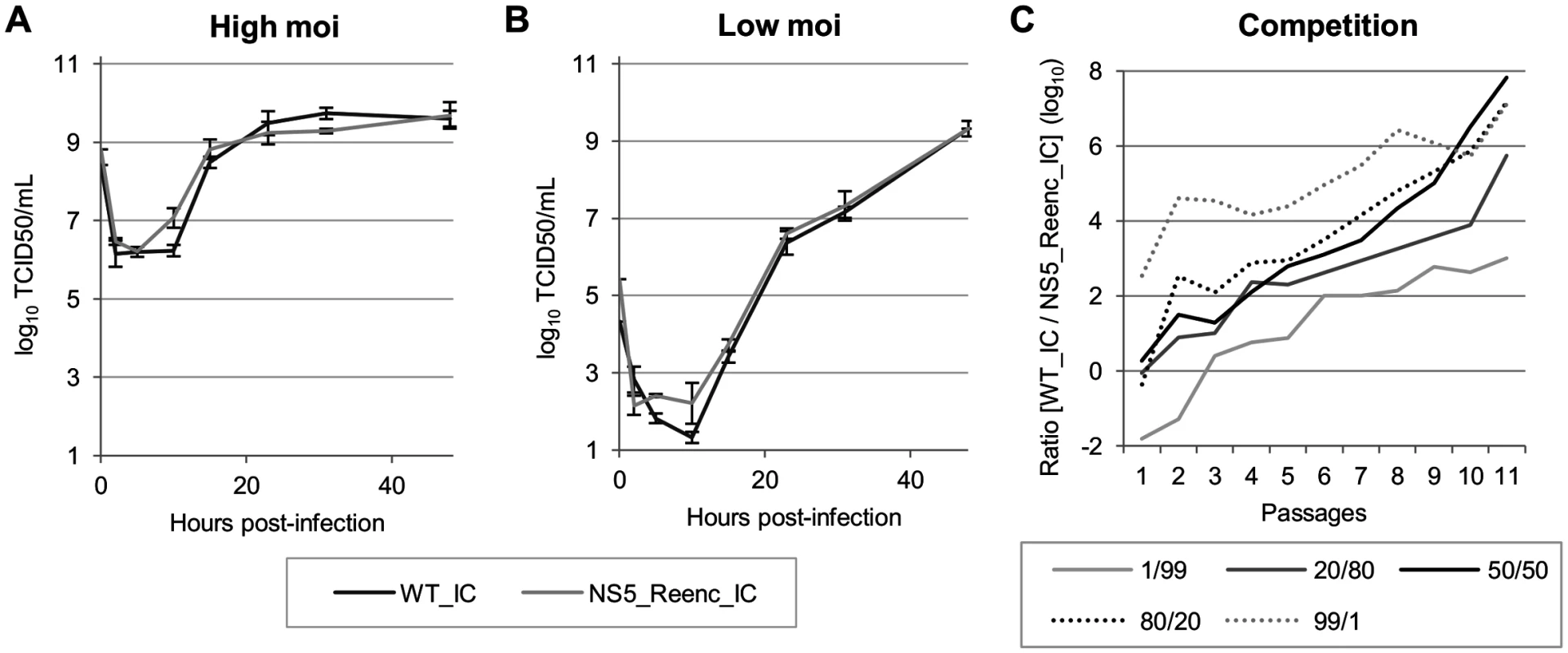 <i>In cellulo</i> replicative fitness of WT_IC and NS5_Reenc_IC viruses in BHK21 cells.