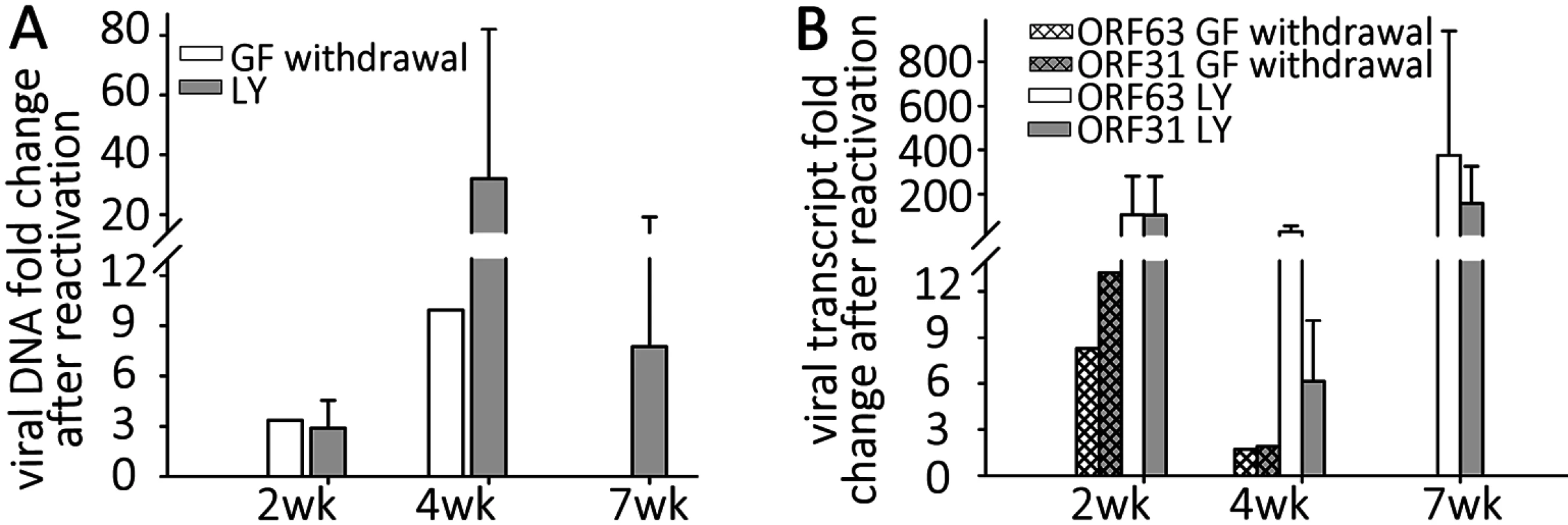 Reactivation stimuli increase the number of VZV genomes and transcripts in quiescently-infected human neurons.