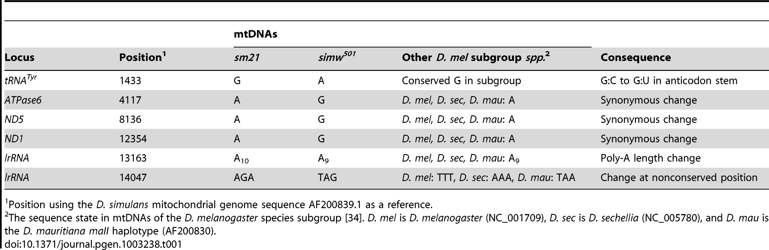 Divergent sites between the <i>D. simulans sm21</i> and <i>simw<sup>501</sup></i> mtDNAs.