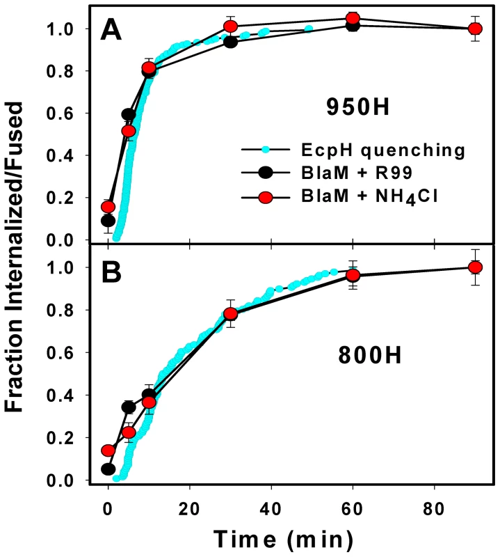 The time courses of productive EnvA-pseudotyped virus entry into cells expressing alternative receptors.