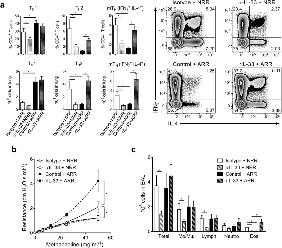 IL-33 levels during primary RSV infection determine disease severity after reinfection.