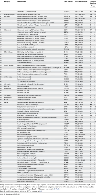 Summary of mass spectrometry analysis of proteins detected with ZAP-L-FL RNP complexes.