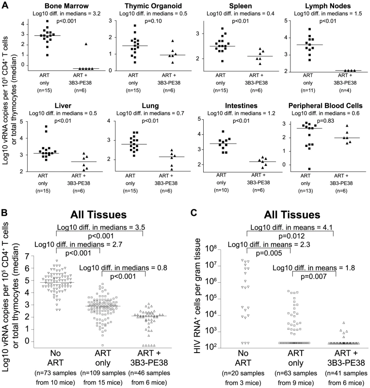 3B3-PE38 targets and systemically depletes vRNA<sup>+</sup> cells <i>in vivo</i>.