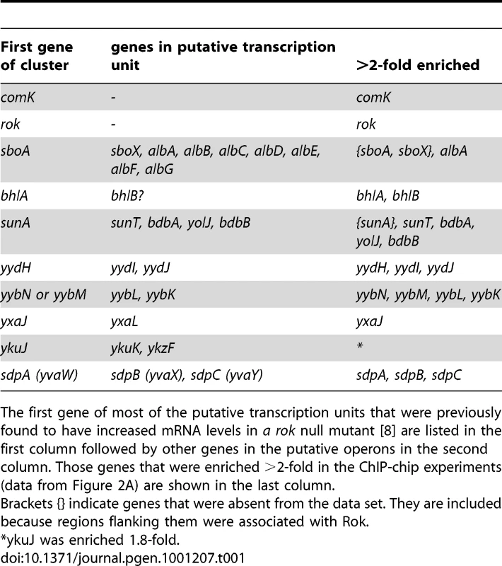 Association of Rok in vivo with specific transcription units.