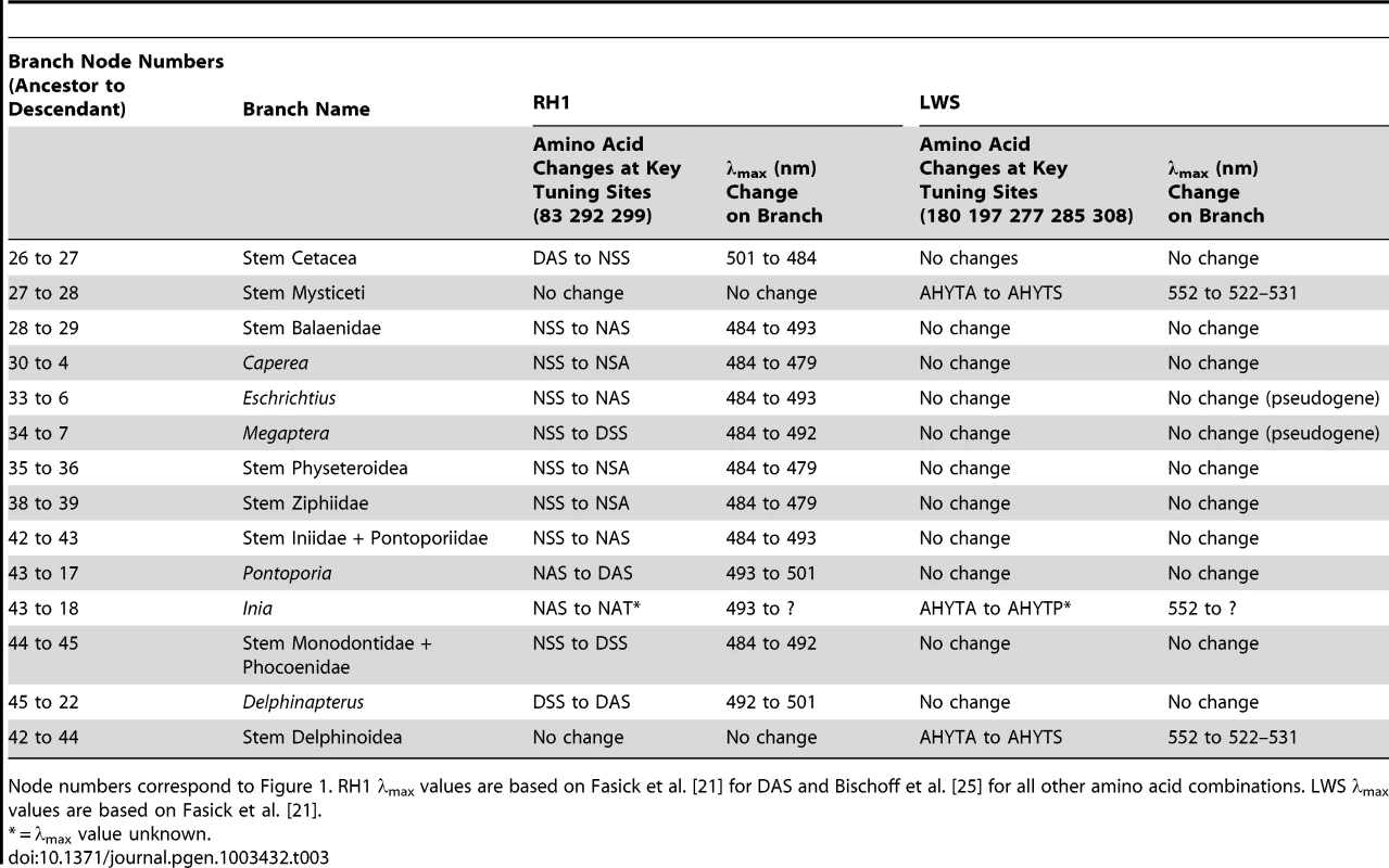 Amino acids at key tuning sites for RH1 <em class="ref">[21]</em>, <em class="ref">[25]</em> and LWS <em class="ref">[36]</em>.
