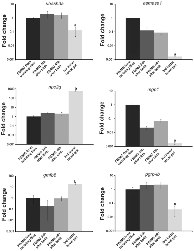 Validation of specific highly abundant proteins within the milk proteome.