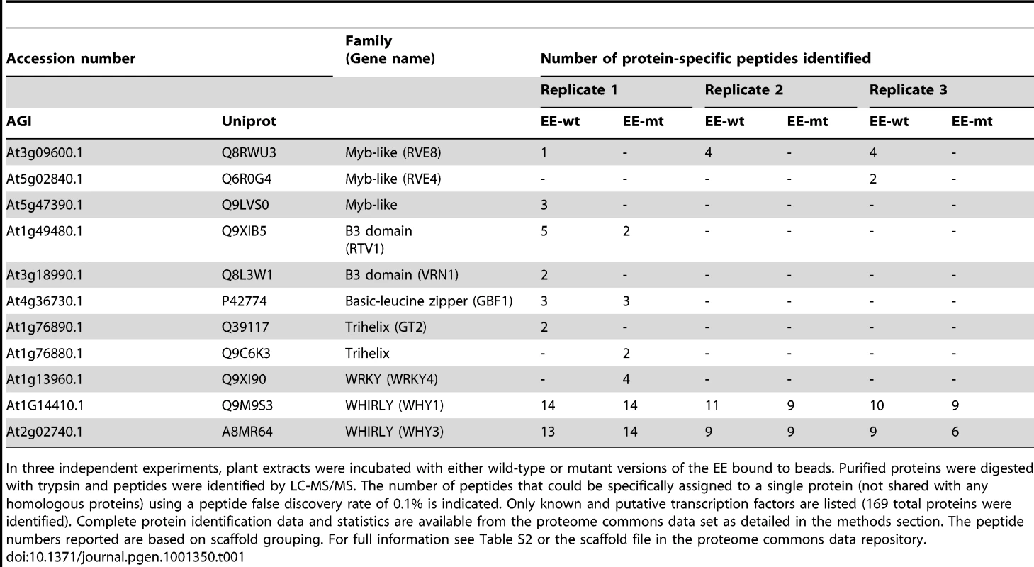 Putative EE–binding factors identified by LC-MS/MS.