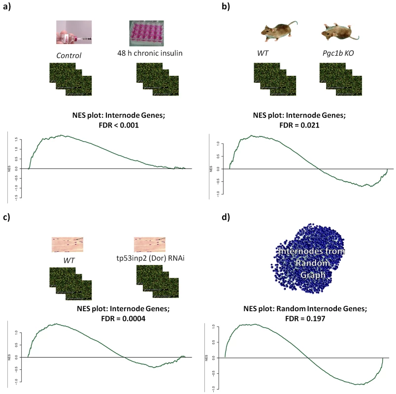 Gene set enrichment analysis.