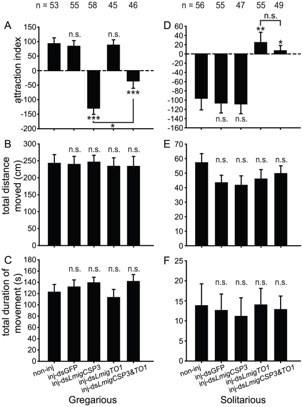 Behavioral phenotype of locust nymphs in arena after RNAi knockdown of <i>LmigCSP3/LmigTO1</i>.