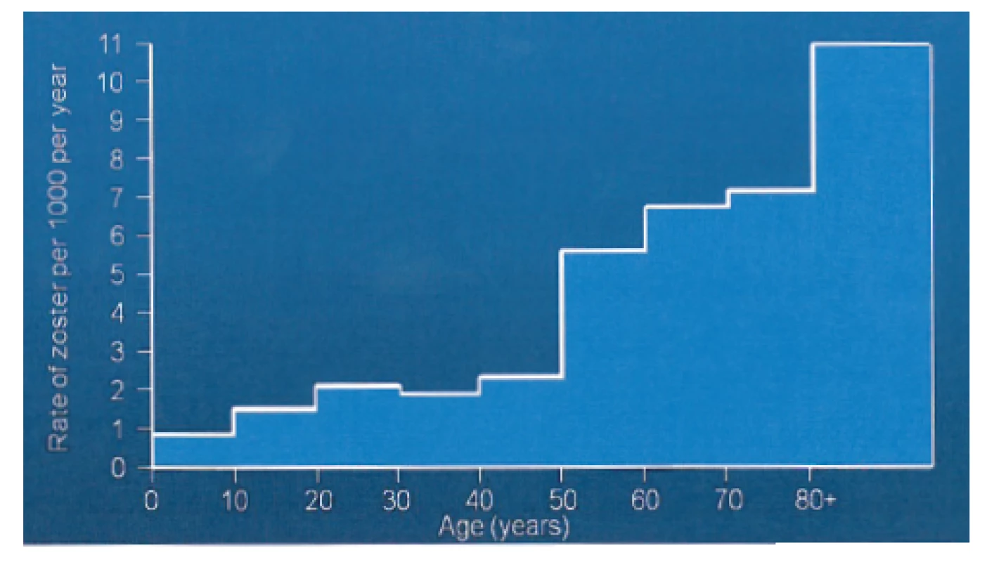 Incidence herpes zoster v závislosti na věku pacientů [52]
Fig. 10. Age-specific incidence of herpes zoster [52]