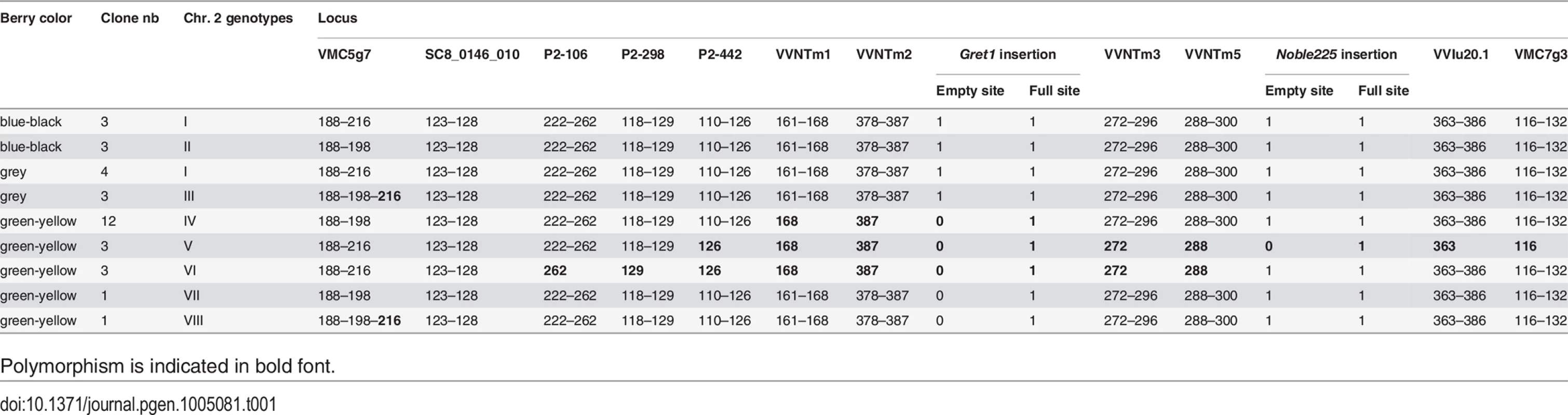 Genotypes of the clones in studied at the 13 heterozygous loci.