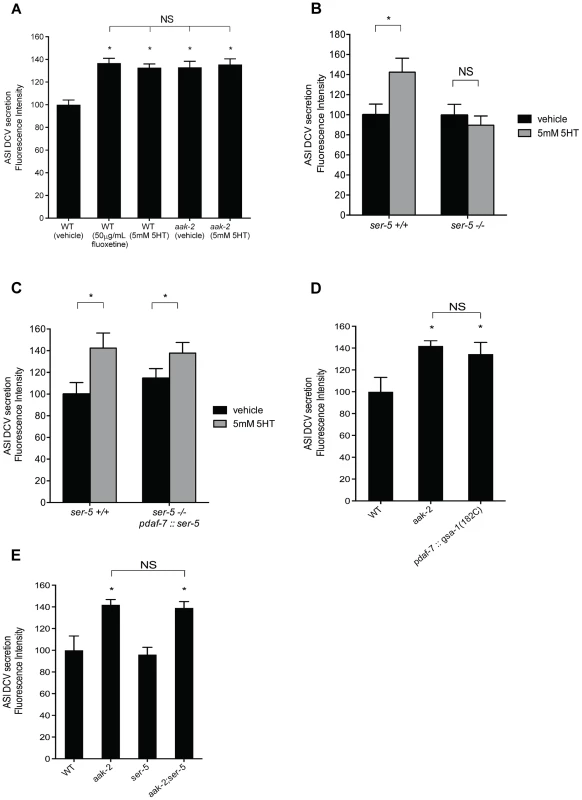 Elevated serotonin or loss of <i>aak-2</i> cause increased dense-core vesicle secretion from ASI neurons.