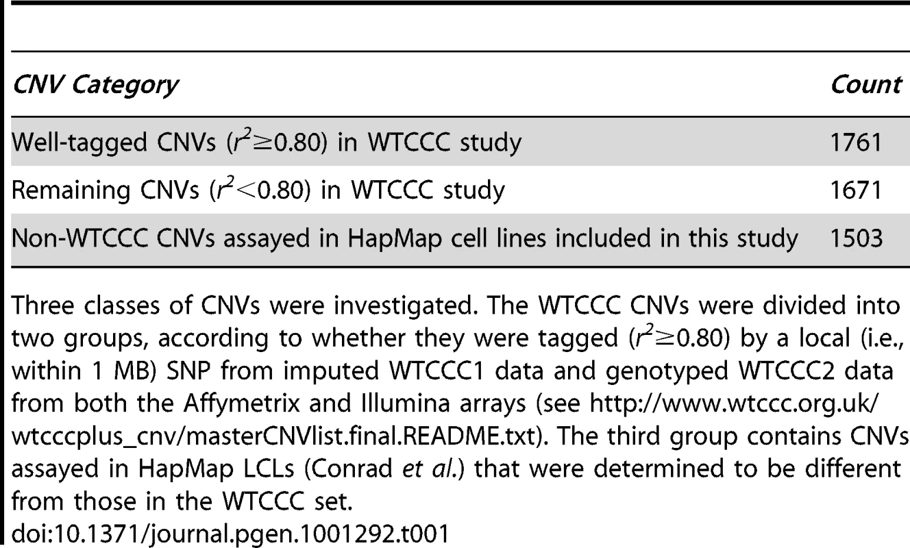 CNV categories that were investigated for role in transcriptional expression.